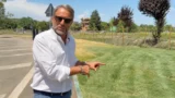 Roma, il nuovo prato in centro diventa un caso: “Erba pitturata per l’inaugurazione”, Giannini (Lega) attacca la Giunta Gualtieri
