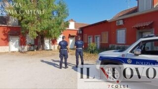 Roma, scoperta lottizzazione abusiva (con affitti in nero): sequestrati 26 miniappartamenti ricavati da una stalla