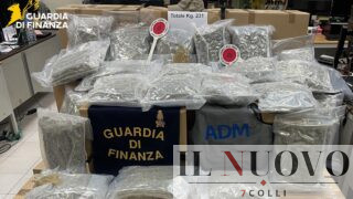 Civitavecchia, sequestrati 231 chili di marijuana: droga nascosta tra rotoli di tessuto, valeva un milione di euro (VIDEO)