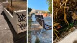 Roma, Parco Schuster nel degrado: piante secche, rifiuti ovunque e panchine roventi senza un filo d’ombra