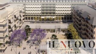 Roma, rivolta contro l’abbattimento dei pini: residenti e commercianti scendono in piazza nel XV Municipio