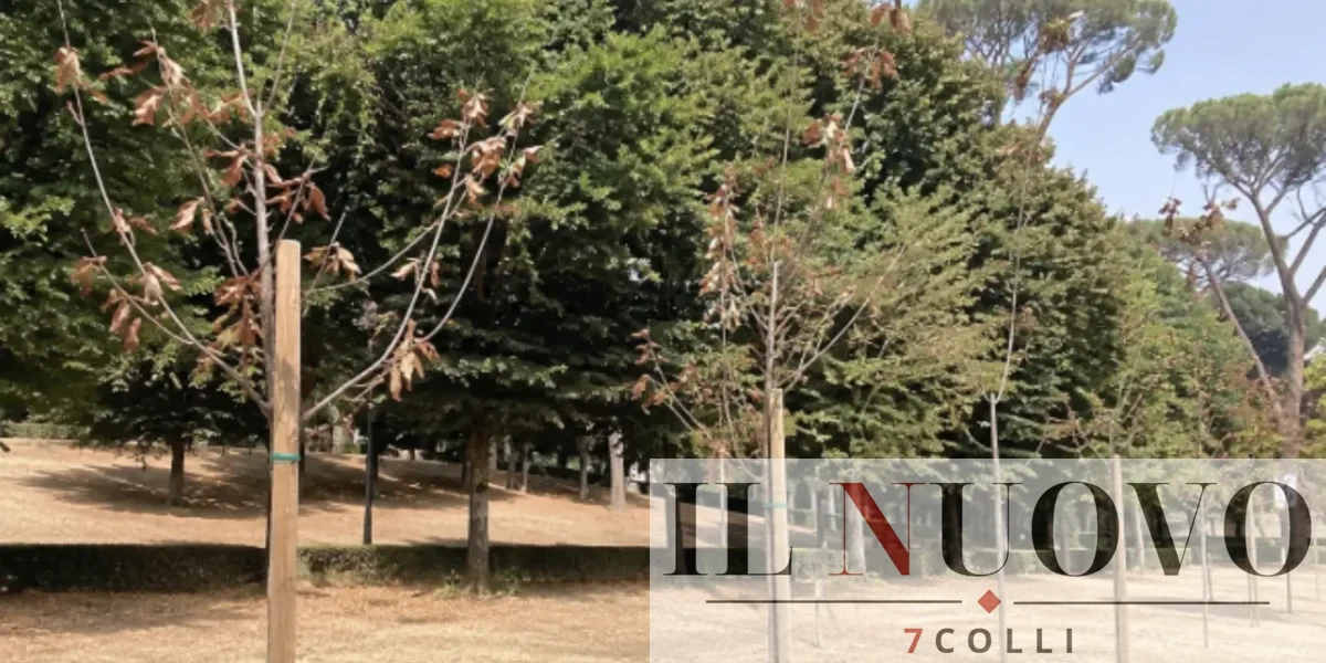 Roma, gli alberi morti a villa Ada