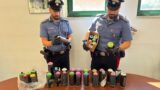 Roma, provano a fare graffiti sui vagoni della Metro B e della Roma Lido: beccati con 32 bombolette colorate