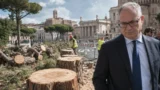 Roma, strage di alberi abbattuti, Italia Nostra: “Gualtieri inganna i cittadini, per la scienza il debito verde durerà 30 anni”