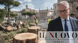 Roma, strage di alberi abbattuti, Italia Nostra: “Gualtieri inganna i cittadini, per la scienza il debito verde durerà 30 anni”