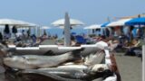 Ostia, “Vi aspettiamo”: lo storico stabilimento La Capannina vince il ricorso al Tar e riapre