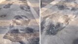 Roma, marciapiede… a pois: rifanno l’asfalto (male) due volte per tappare le buche, parte la protesta dei cittadini (VIDEO)