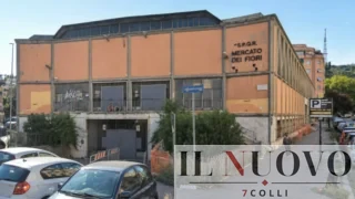 Addio ‘Mercato dei Fiori’, Roma vuole una piscina ma non conosce l’immobile: 17 milioni e pesanti incognite scaricate sul privato