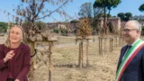 Roma, alberi appena piantati già morti e piazze-forno: Gualtieri silura il capo dell’Ambiente dopo il ‘caso CNN’, ma difende l’assessore Alfonsi