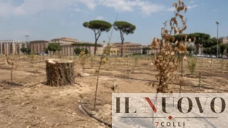 Roma, 800mila nuovi alberi e piante del PNRR finiscono sotto accusa: l’associazione CURAA e Forza Italia chiedono i conti