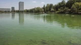 Roma, Laghetto dell’Eur, pesci in superficie e acqua malata: Eur Spa ricorre a trattamenti e aeratori, dopo l’allarme di Forza Italia