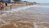 Mare marrone, anche Roma coinvolta dal fenomeno: microalghe e schiume invadono il litorale del Lazio