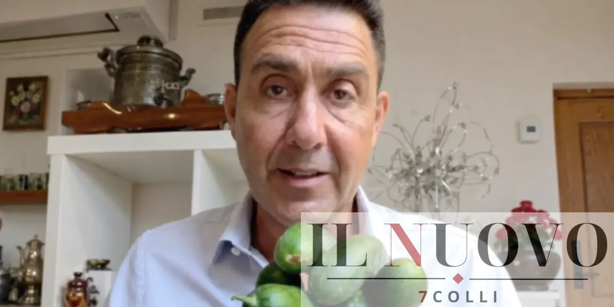Vannacci con gli ortaggi