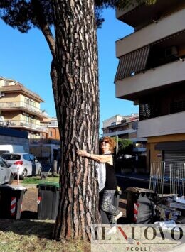 albero ipogeo degli ottavi