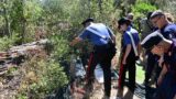 Castel Fusano, in auto con marijuana, cocaina e hashish nel bagagliaio: maxi controlli dei Carabinieri nella pineta, 3 arresti e 7 denunce (FOTO)