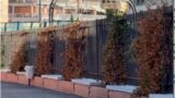 Roma, dal “magnifico Gelsomino” al “Fu Gelsomino”: la passeggiata inaugurata da Gualtieri è già secca (VIDEO)