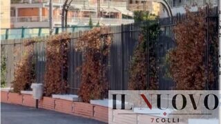 Roma, dal “magnifico Gelsomino” al “Fu Gelsomino”: la passeggiata inaugurata da Gualtieri è già secca (VIDEO)