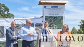 Il bosco fantasma di Roma da 28 milioni PNRR: migliaia di alberi sui social, ma nessun censimento dei sopravvissuti