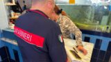 Centocelle e Cinecittà, maxi-controllo dei Carabinieri: 6 arresti e 13 denunce. Cittadini in strada per ringraziare i militari