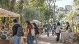 Roma, il mercatino nascosto nel boschetto della Caffarella: due giorni tra artigiani, laboratori e natura