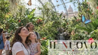 Roma, si cammina tra centinaia di farfalle vive: riapre la ‘Casa delle Farfalle’. Quando e dove