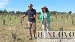 Ostia, pineta ripiantumata con fondi PNRR: «Alberi secchi al 100%». Giannini (SOS Roma) e l’associazione CURAA attaccano Gualtieri