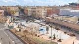 Roma, l’associazione CURAA chiama a raccolta i cittadini per difendere gli alberi: due incontri pubblici il 4 ottobre