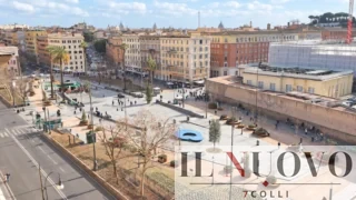Roma, l’associazione CURAA chiama a raccolta i cittadini per difendere gli alberi: due incontri pubblici il 4 ottobre