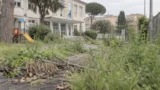 Scuole di Roma, allarme manutenzione del verde: sei consiglieri (di maggioranza) bacchettano la Giunta Gualtieri