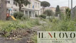 Scuole di Roma, allarme manutenzione del verde: sei consiglieri (di maggioranza) bacchettano la Giunta Gualtieri