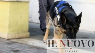 Roma, cassaforte della droga nascosta nella panca e hashish nel frigo: 6 arresti e 2 chili sequestrati