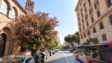 Roma, dopo i pini tocca agli Oleandri, via Tagliamento e via Nemorense sotto tiro, Italia Nostra sfida Gualtieri: “Fermati”