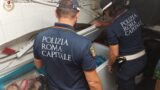Roma, all’Esquilino il bar-ristorante dell’orrore: 60 chili di cibo mal conservato e bevande senza etichette