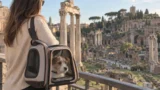 Foro Romano e Palatino con il cane (gratis), si può fare, resta lo stop al Colosseo: tutte le nuove regole di Roma