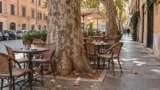 Roma, più tavolini e meno spazio agli alberi: Italia Nostra attacca la giunta Gualtieri