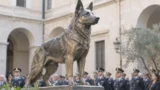 A Roma una statua per Dox: il cane poliziotto che scovava i criminali e salvò un poliziotto da una coltellata