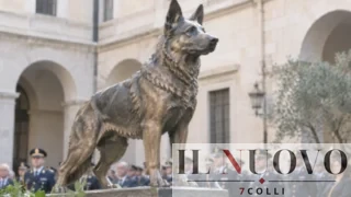 A Roma una statua per Dox: il cane poliziotto che scovava i criminali e salvò un poliziotto da una coltellata