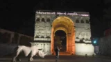 A Roma arriva l’asino d’oro che ascolta i segreti dei cittadini: la sorprendente idea di Marina Abramović