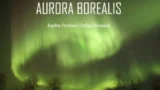 Roma, l’aurora boreale arriva nella Capitale: lo spettacolo delle luci del Nord senza lasciare la città