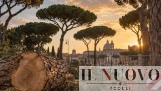 Pini di Roma, CURAA e SOS Roma contro il Campidoglio: “No alla cancel culture del paesaggio romano”