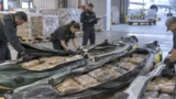 Roma, 210 chili di droga nascosti nei kayak gonfiabili: la trappola della Finanza scatta alla consegna