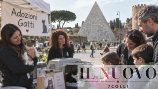 Roma, domenica puoi incontrare il gatto che ti sceglierà: alla Piramide è il giorno delle adozioni