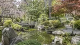 Un angolo di Kyoto nascosto a Roma: riapre il giardino giapponese, visite gratis