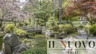 Un angolo di Kyoto nascosto a Roma: riapre il giardino giapponese, visite gratis