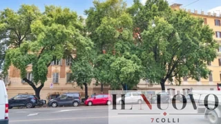 Roma, parcheggio privato sotterraneo, a rischio 6 alberi secolari e palazzi storici: Italia Nostra chiede a Gualtieri lo “Stop”