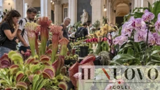 Roma, arrivano le piante che mangiano insetti: due giorni tra orchidee rare e specie quasi introvabili