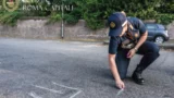Roma, bambino di 11 anni investito davanti a scuola: l’auto fugge, conducente rintracciato dopo 4 giorni