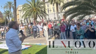 Pini di Roma, CURAA e SOS Roma contro il Campidoglio: “No alla cancel culture del paesaggio romano”