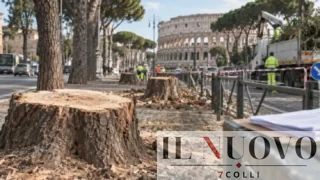 Roma, alberi abbattuti a 2mila € l’uno: FdI porta in Procura l’appalto da 100 milioni di Gualtieri