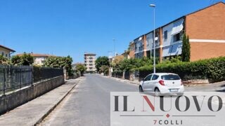 Roma, alberi tagliati e filari spariti nel IX Municipio, nuova grana per Gualtieri (e Di Salvo), i cittadini: “Quando torneranno?”